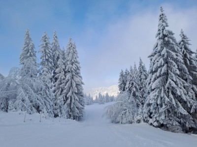 Winterpret 